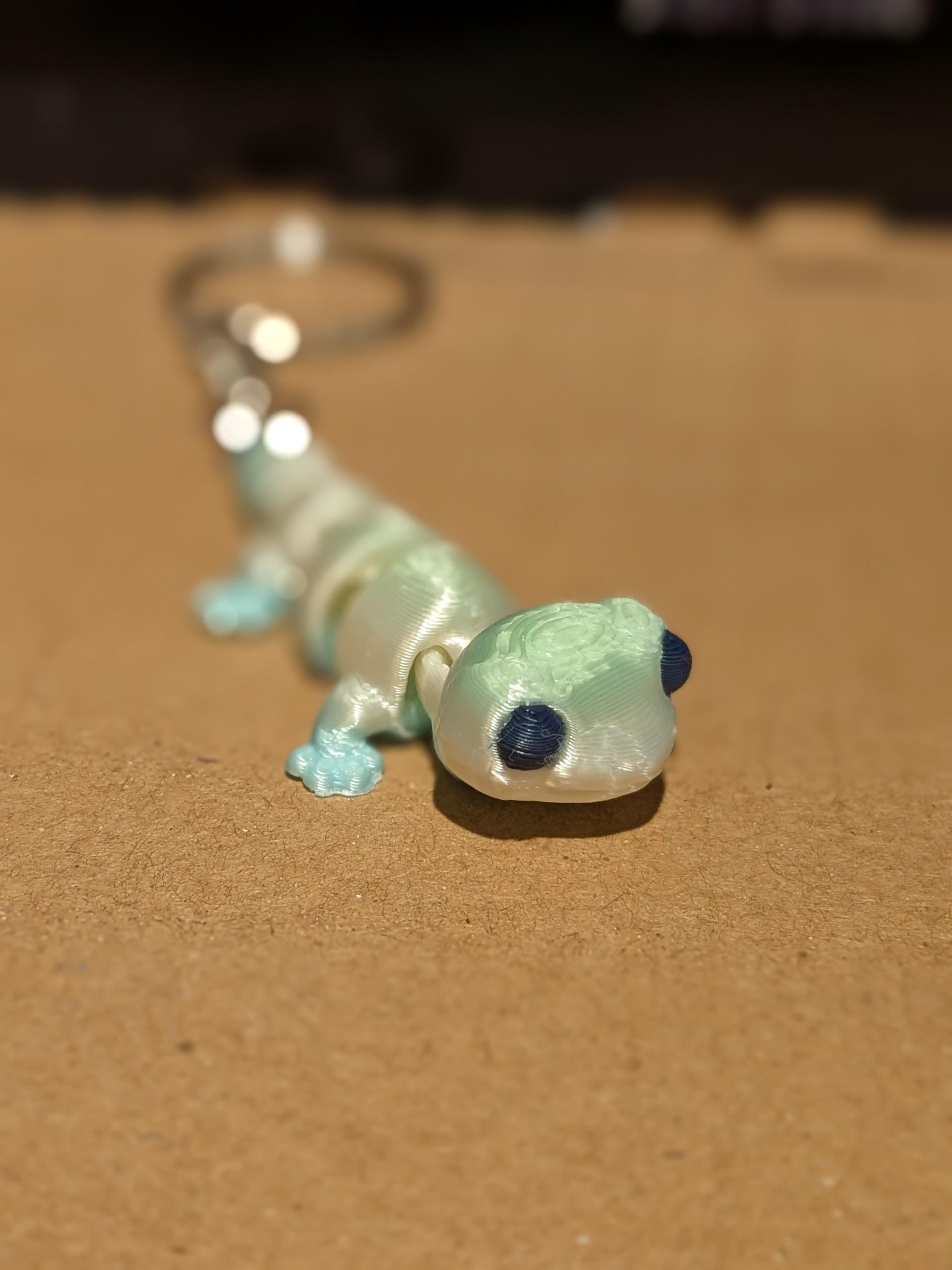 Gecko